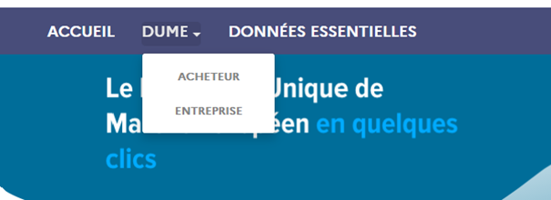 Choix entre un profil d'utilisateur de type acheteur ou entreprise (bandeau supérieur de l'accueil)