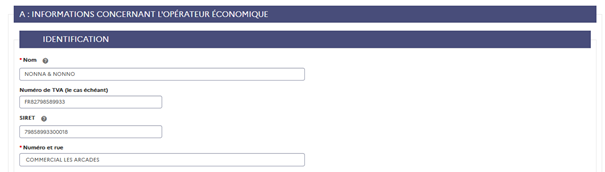 DUME Entreprise : partie 2 A